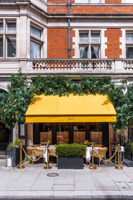 Website design agency in London and Dubai for restaurants seo expert specialist company web developers and designers delivering best results.