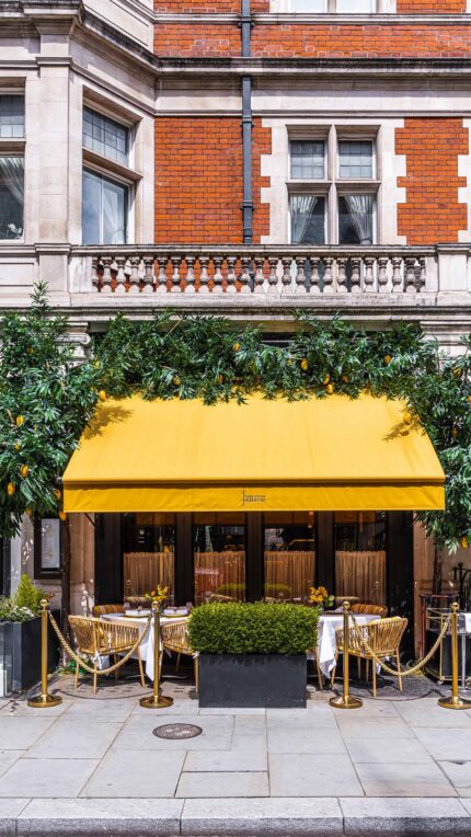 Website design agency in London and Dubai for restaurants seo expert specialist company web developers and designers delivering best results.