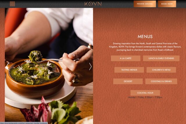 Website Design company for restaurants, bars, hotels in Mayfair web designers an SEP expert specialist agency with developers in London.