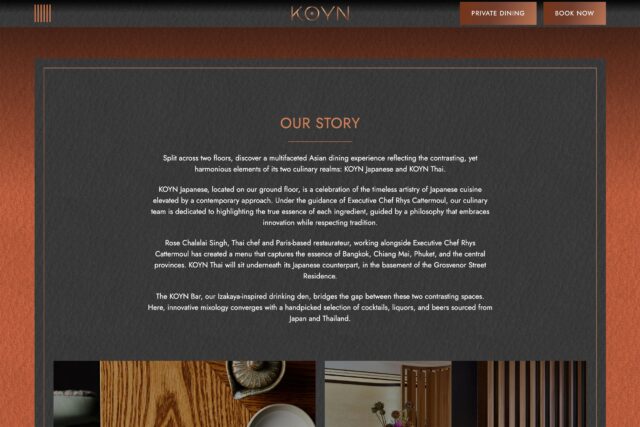 Website Design company for restaurants, bars, hotels in Mayfair web designers an SEP expert specialist agency with developers in London.