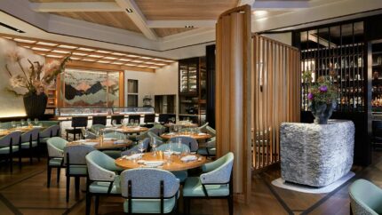 Website Design company for restaurants, bars, hotels in Mayfair web designers an SEP expert specialist agency with developers in London.