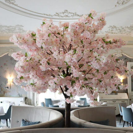 Edinburgh restaurant SEO specialists PGWD delivering high-intent tourist traffic.