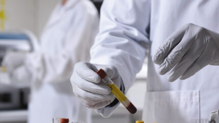 Website design seo company for web agency in London web experts specialists developers and digital marketing services.