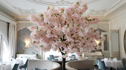 Website designer in Edinburgh, seo services company web design and digital marketing experts specialists agency.